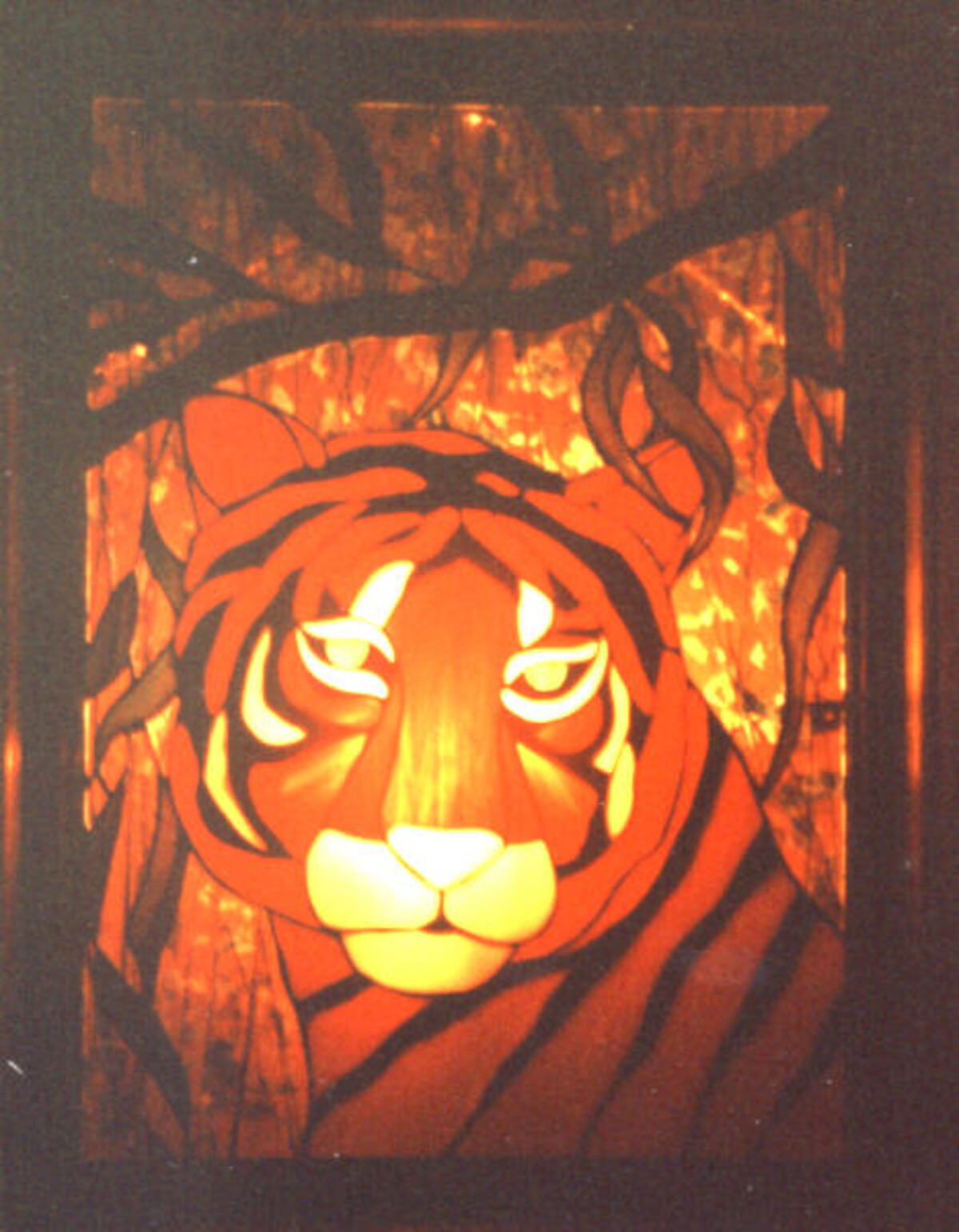 installedtiger